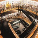 College Library :: American Academy of Art