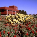 College Building :: Aims Community College