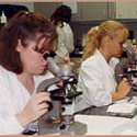 College Clinical Assist :: Spencerian College-Lexington