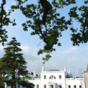 College Building :: Oak Hills Christian College