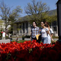 College Campus :: National American University-Albuquerque