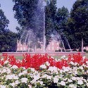Braswell fountain :: North Carolina Wesleyan College