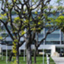 University Campus :: California State University-Chancellors Office