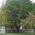 Entrance :: Choffin Career  and Technical Center