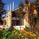 Bourns poppies :: University of California-Riverside