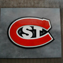 Saint Cloud State University