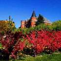 Washington State University 2