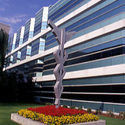 Medical College of Georgia :: Medical College of Georgia
