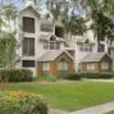 university :: South University-Savannah