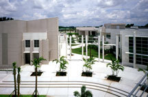 palm college beach state campus admissions stateuniversity