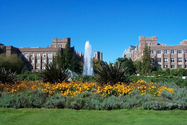 University Of Washington Seattle Campus UWSC UW Seattle UDub UW University Of Washington Seattle Campus UWSC UW Seattle UDub UW